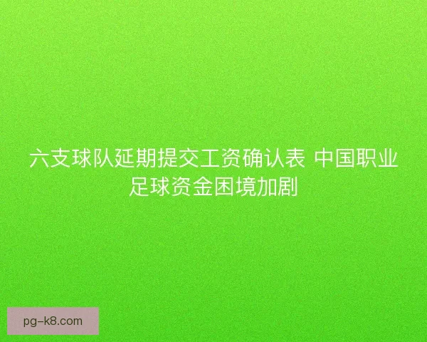 六支球队延期提交工资确认表 中国职业足球资金困境加剧 六支球队延期提交工资确认表 中国职业足球资金困境加剧