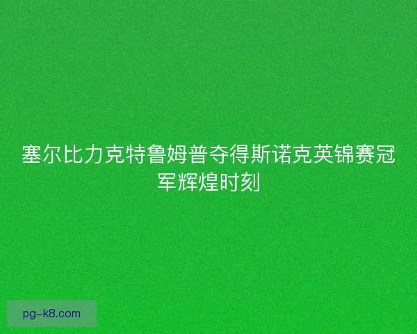 塞尔比力克特鲁姆普夺得斯诺克英锦赛冠军辉煌时刻